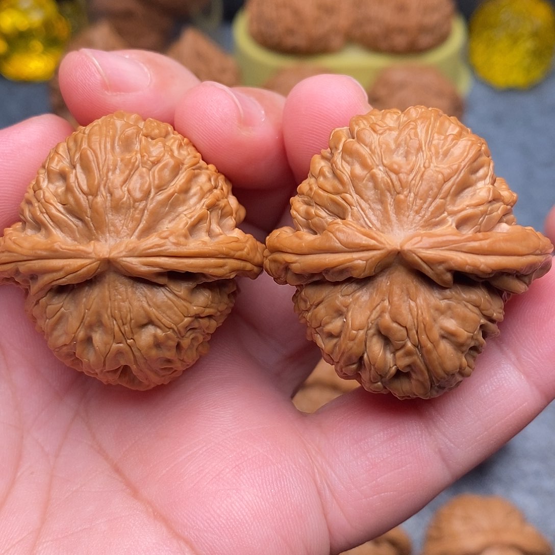 文玩核桃把件38.5全品绝配白狮子