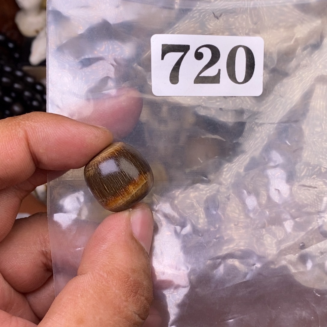 其他驼骨人工样子