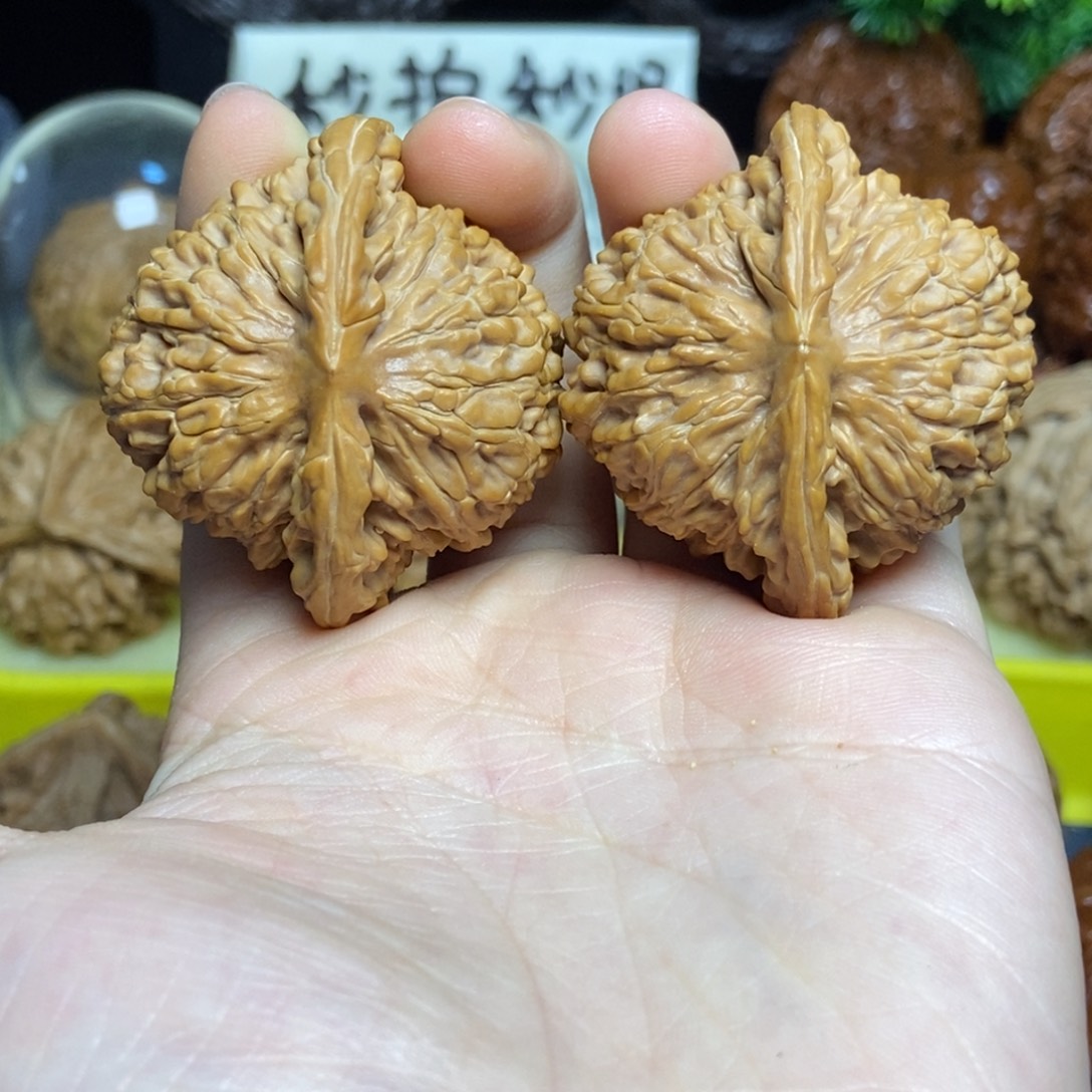 核桃四座楼全品新果43尺7