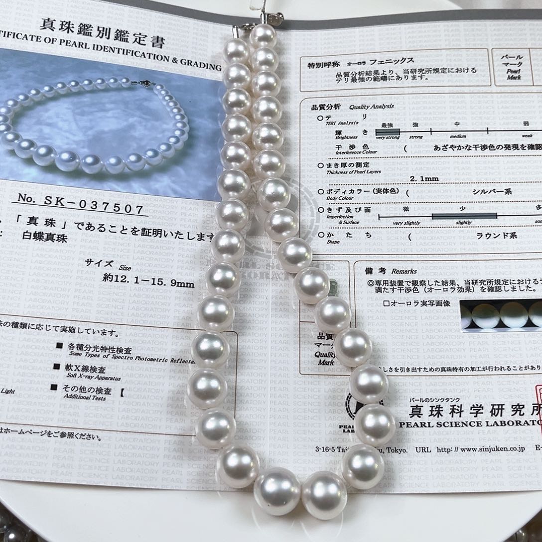 海水珍珠颈饰未镶嵌澳白凤凰12.1-15.9sk