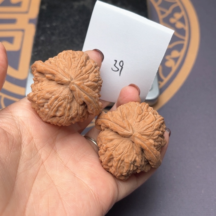 文玩核桃把件42白狮子 39号