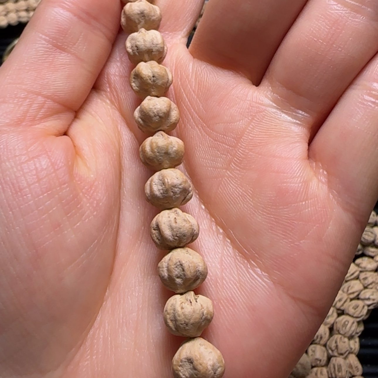 【闪购商品】柏香籽/百香籽吊坠高**就