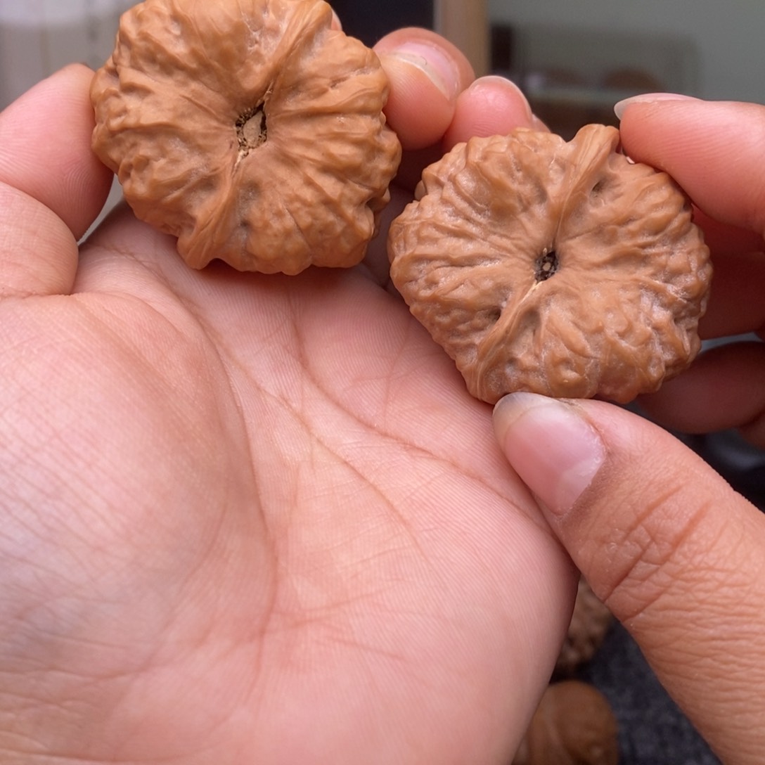 文玩核桃把件37.5蛤蟆头377