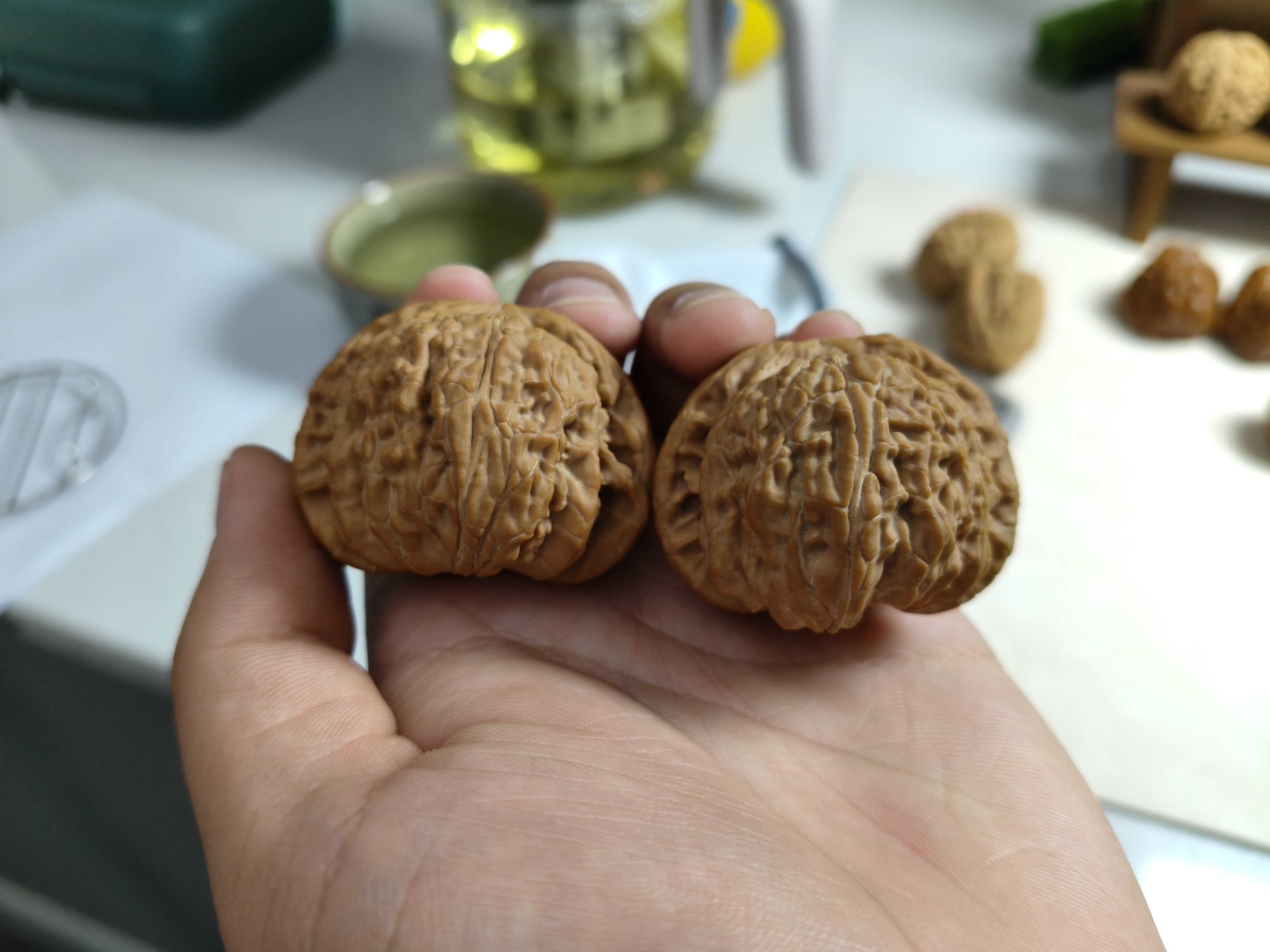 43.6 闷尖白狮子 尖非常正