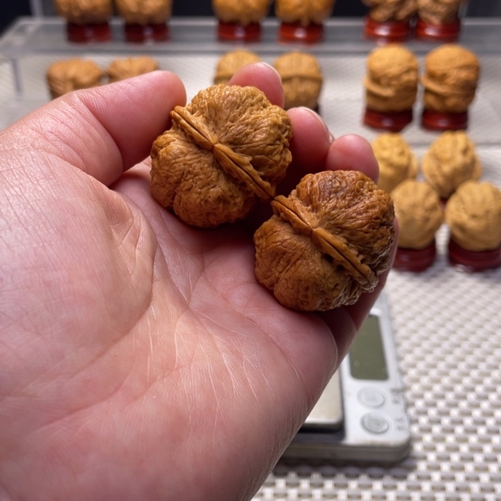 文玩核桃把件18古树蚂蚁开背王