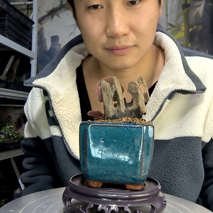 p***r中青园艺一物一拍花484