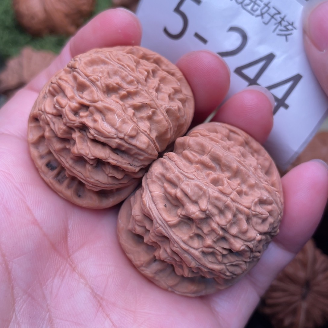 文玩核桃把件精配白狮子42