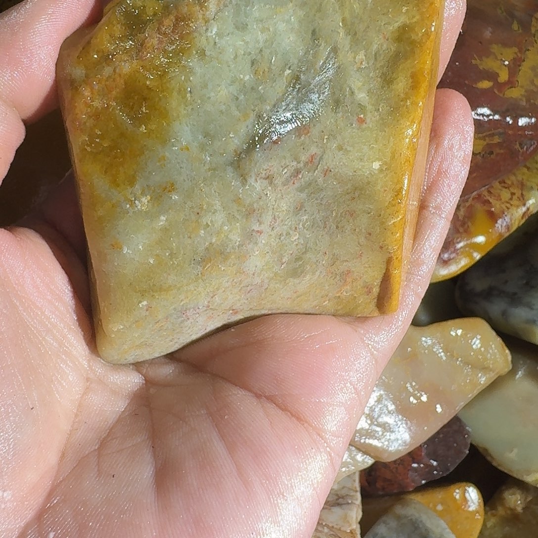 云***哥寿山石8888888888888