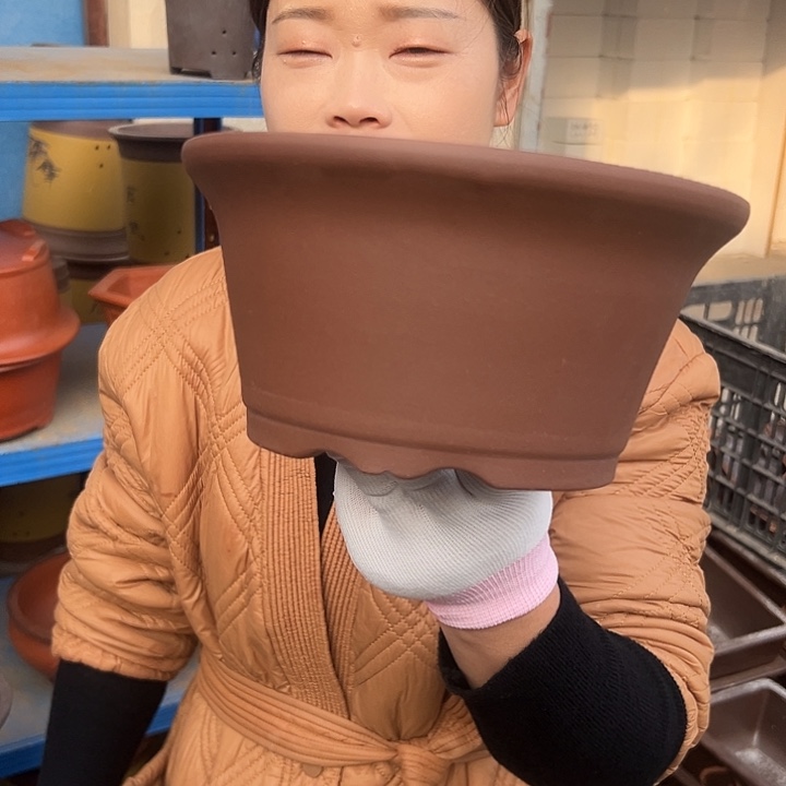 红泥碗大一个花盆，现在