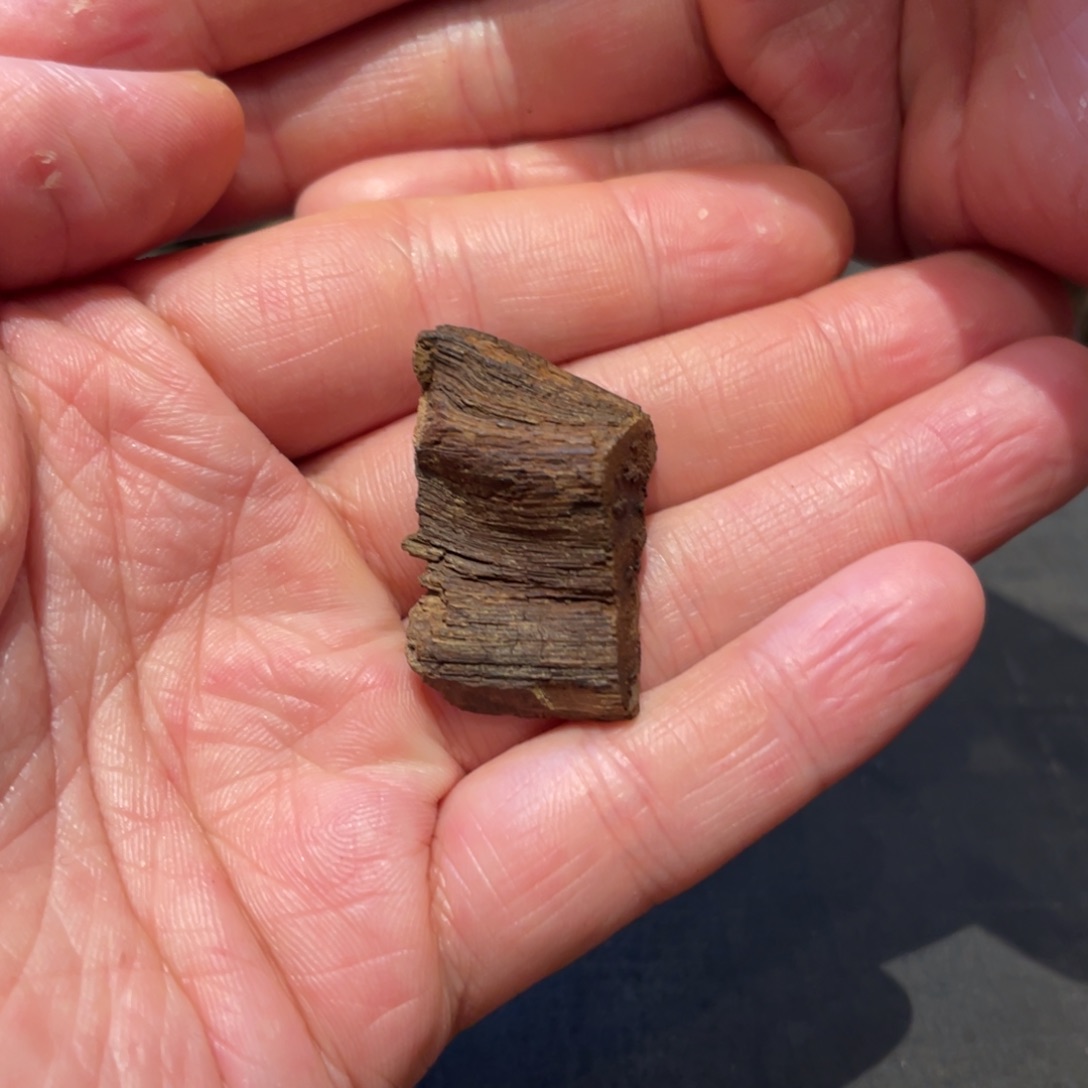 沉香吊坠越富森沉水红土沉香3.79g