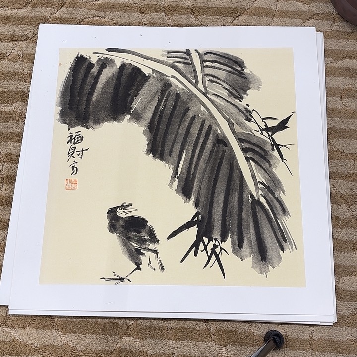 国画花鸟的翅膀和翅膀是