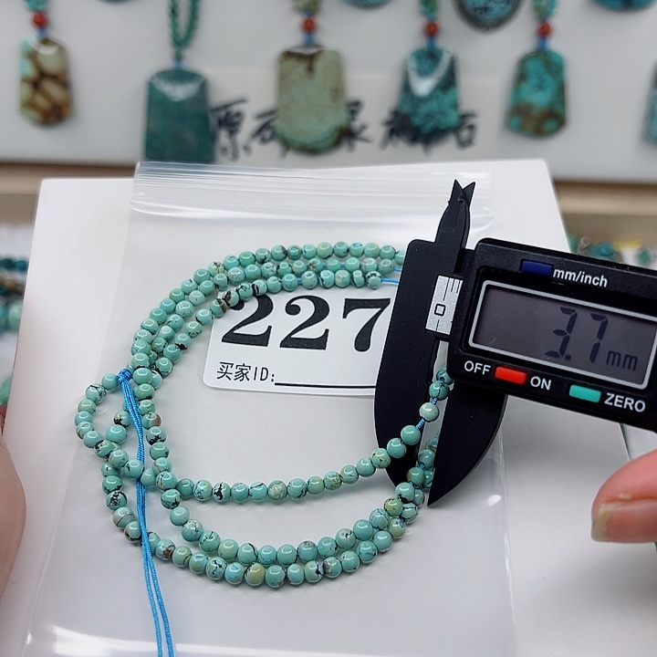 绿松石颈饰未镶嵌