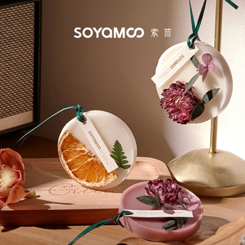 CITTA/西苔索苜香薰衣柜蜡片室内卧室持久留香家用去除异味挂件