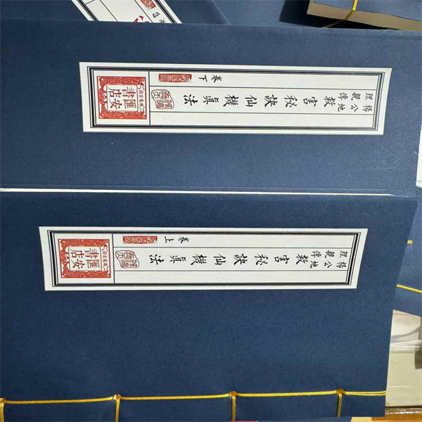 杨公地理亲传救害秘诀仙机真法