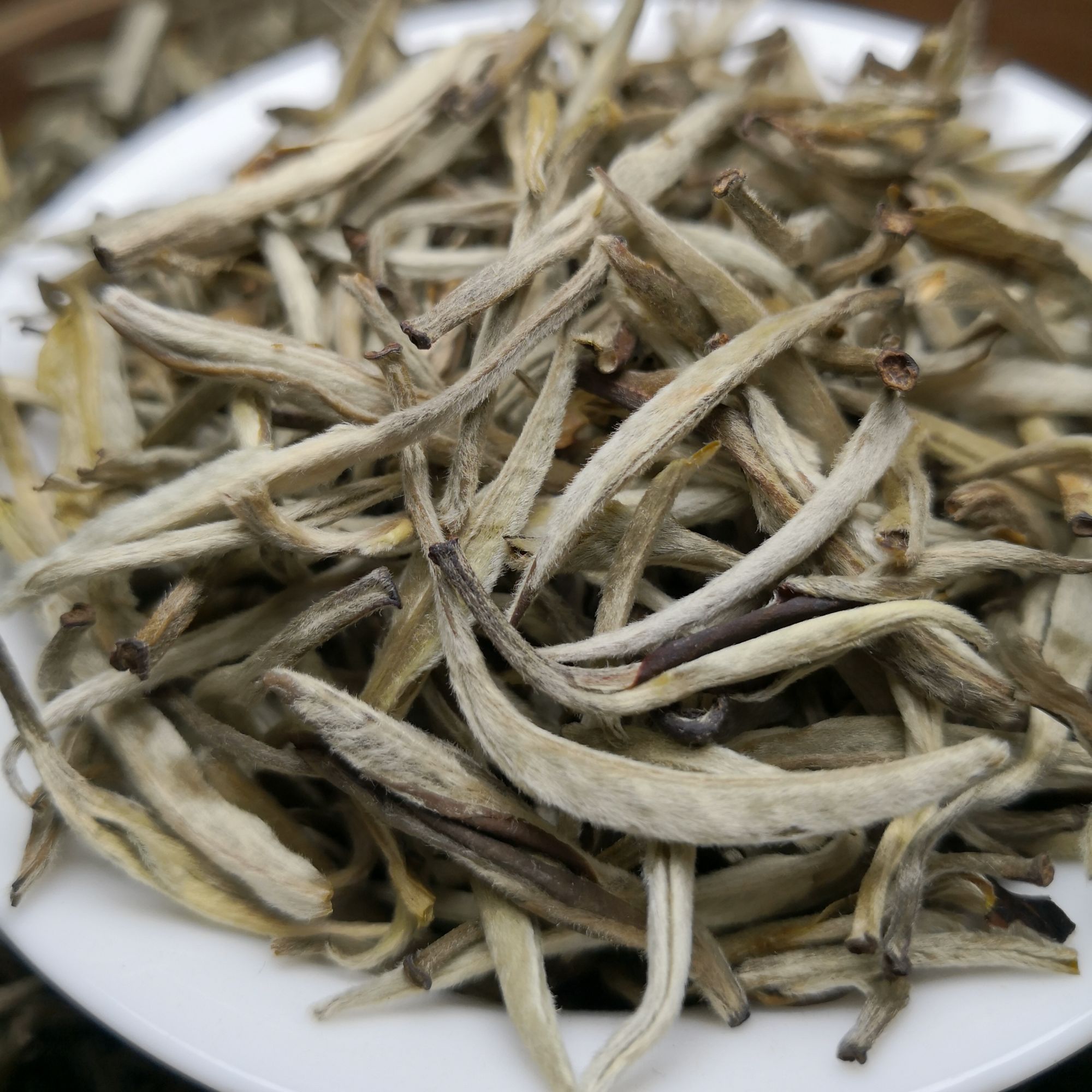横县茉莉花茶浓香型茉莉窨制绿茶全芽花茶茶叶