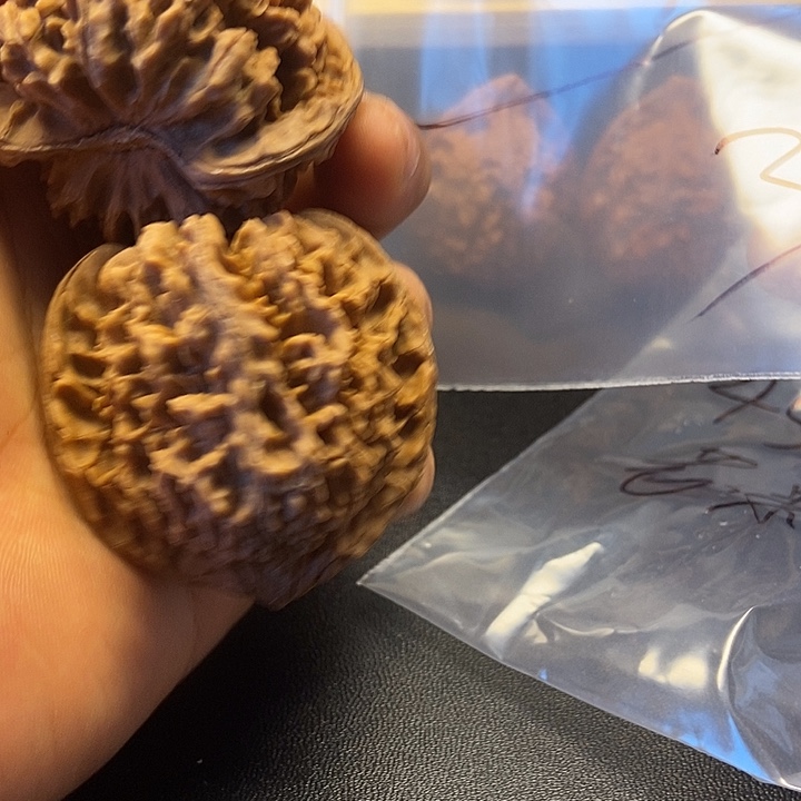 大叶紫檀（黑酸枝木类）