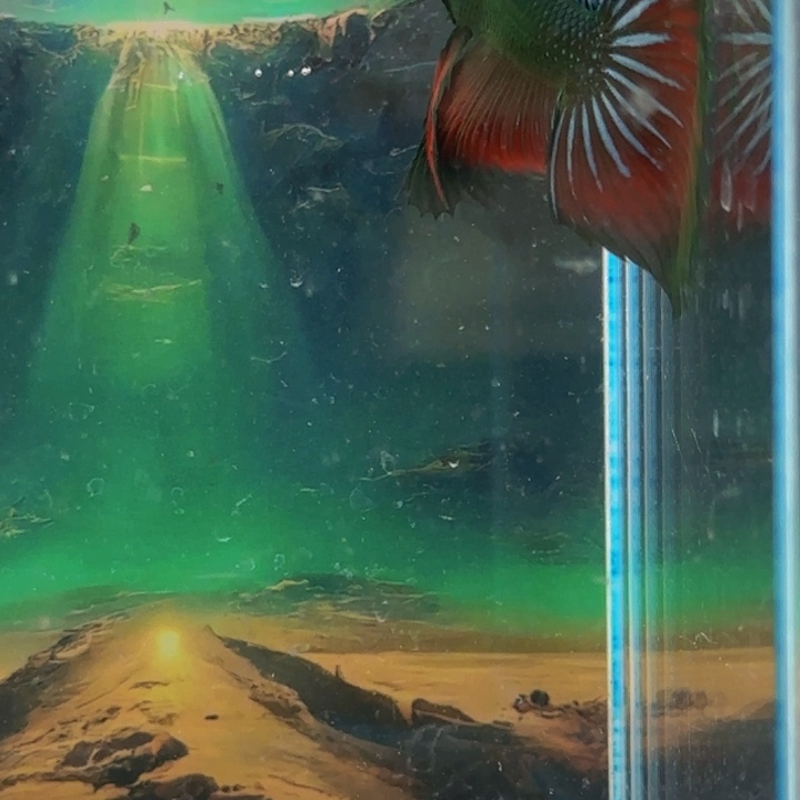 斗鱼那人是不是可以让