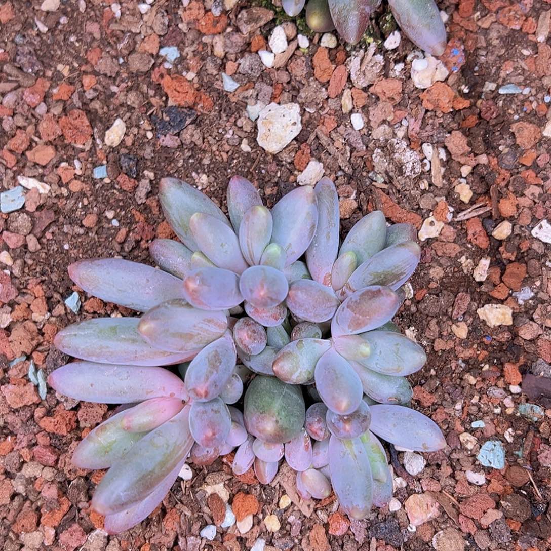 11111111111111111111