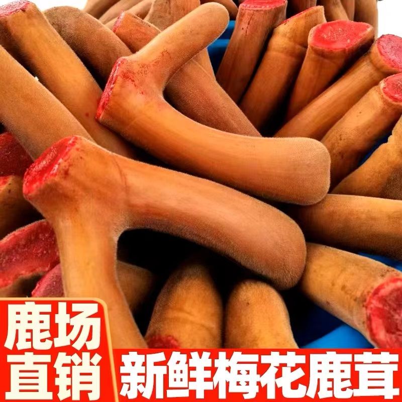 鹿茸小河流鹿乡产地直发鲜鹿茸泡酒