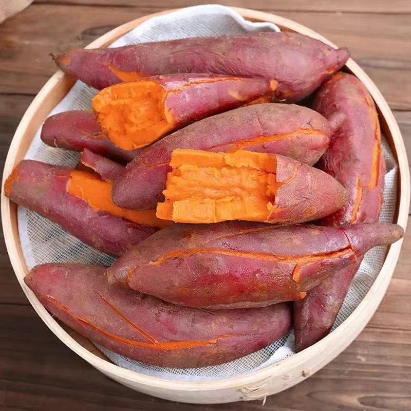 新鲜现挖河南西瓜红心蜜薯沙地种植软糯香甜