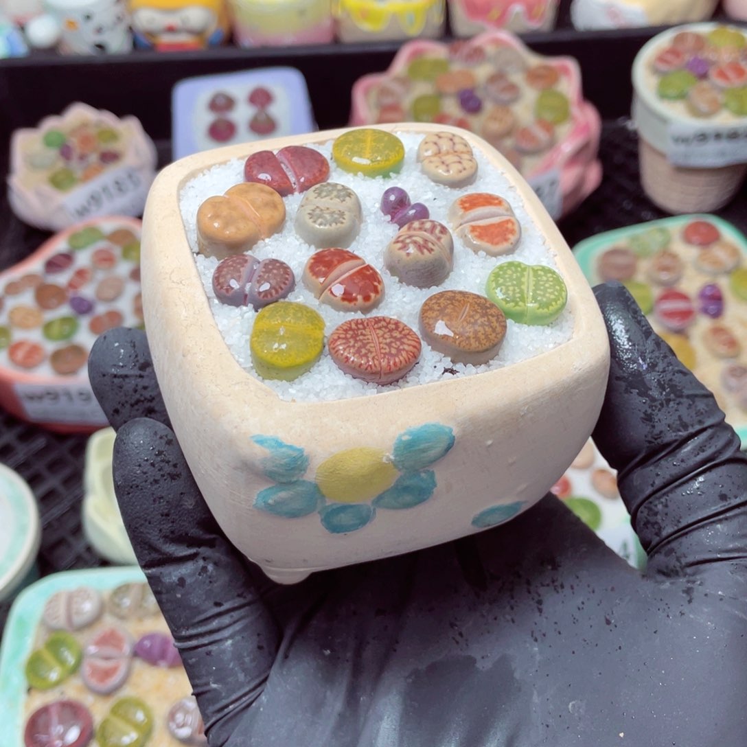 w9196--零下地区拍保温箱，-15度支持寄养