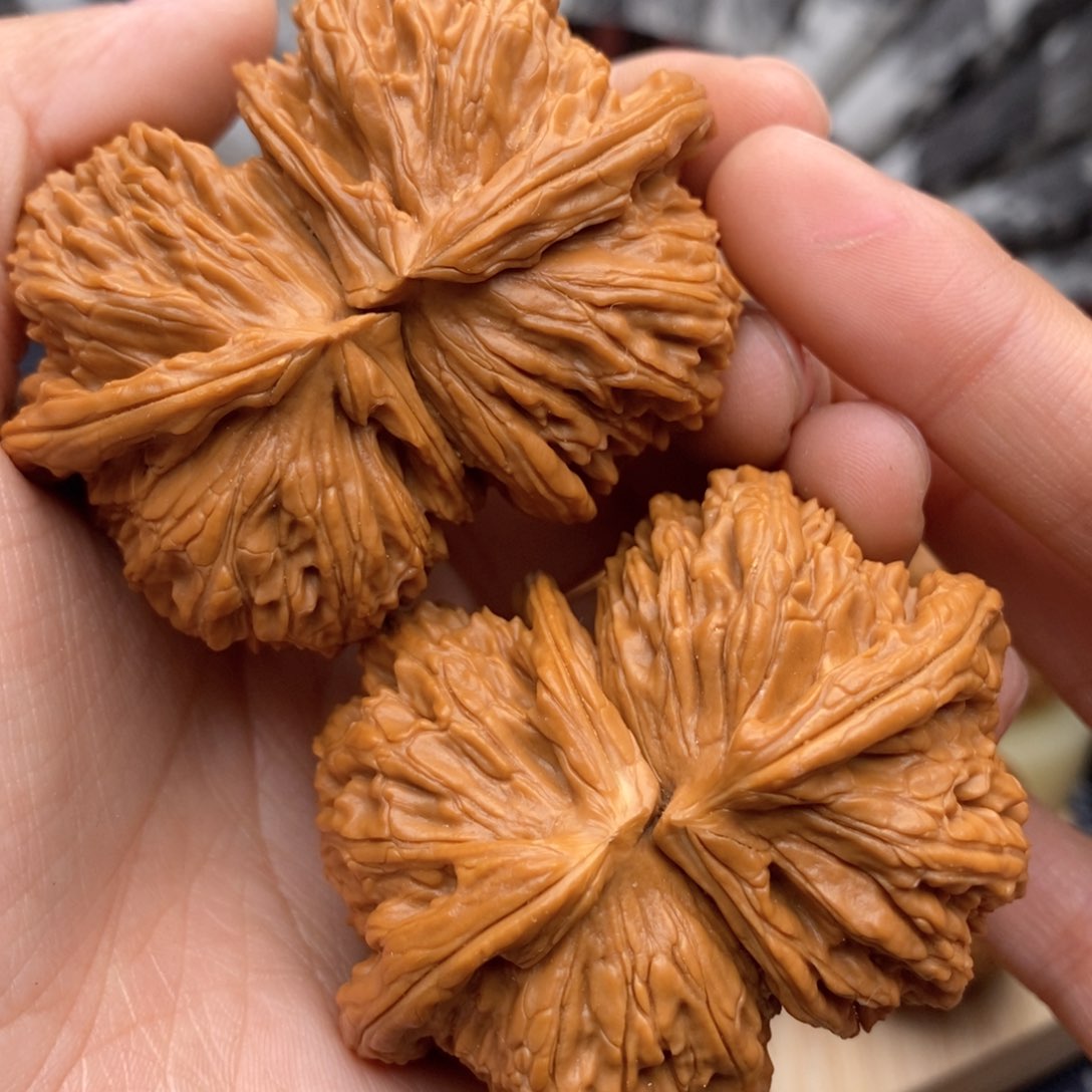 文玩核桃吊坠59连体白狮子