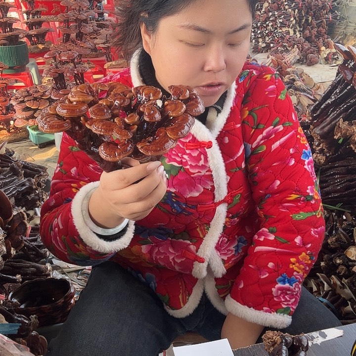 无花朵妹*灵芝花开了