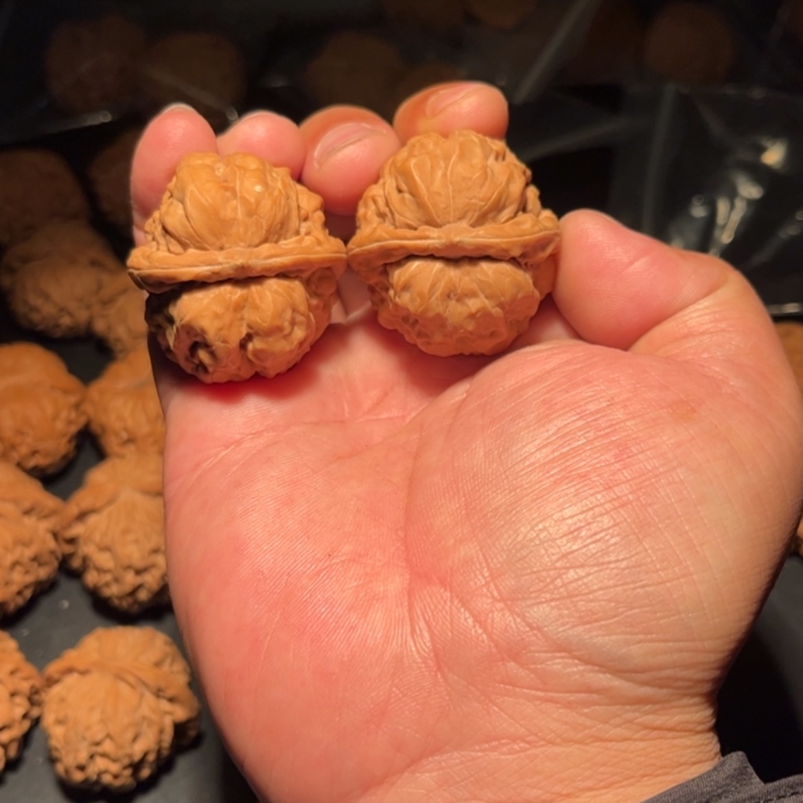 【闪购商品】西****·文玩核桃木制手把件