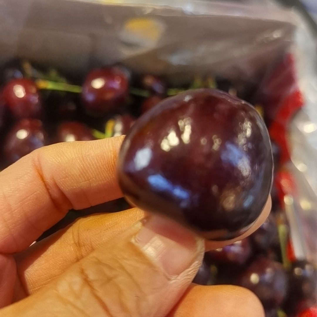 智利桑提娜车厘子，5JD,一件5斤，海运桑提娜智利智利