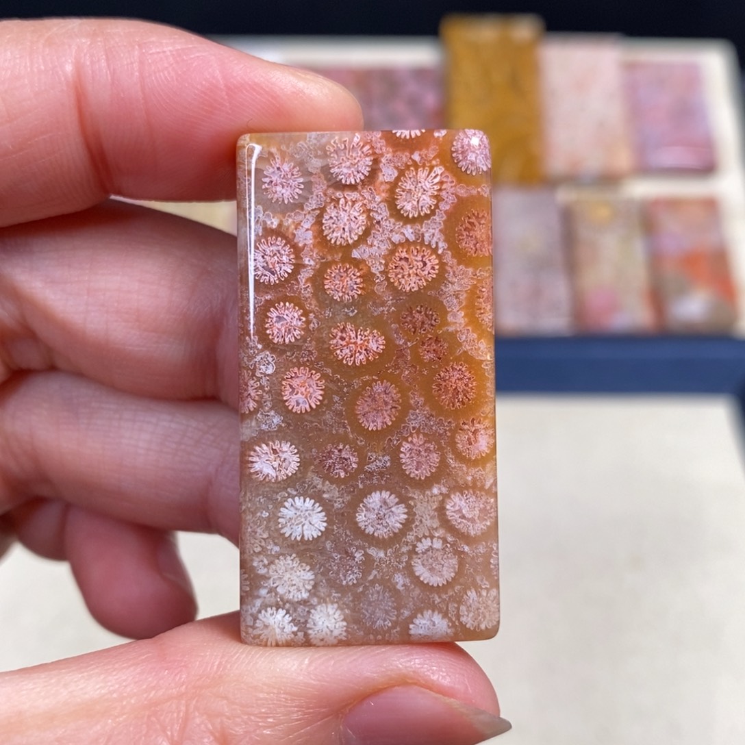 硅化玉未镶嵌吊坠