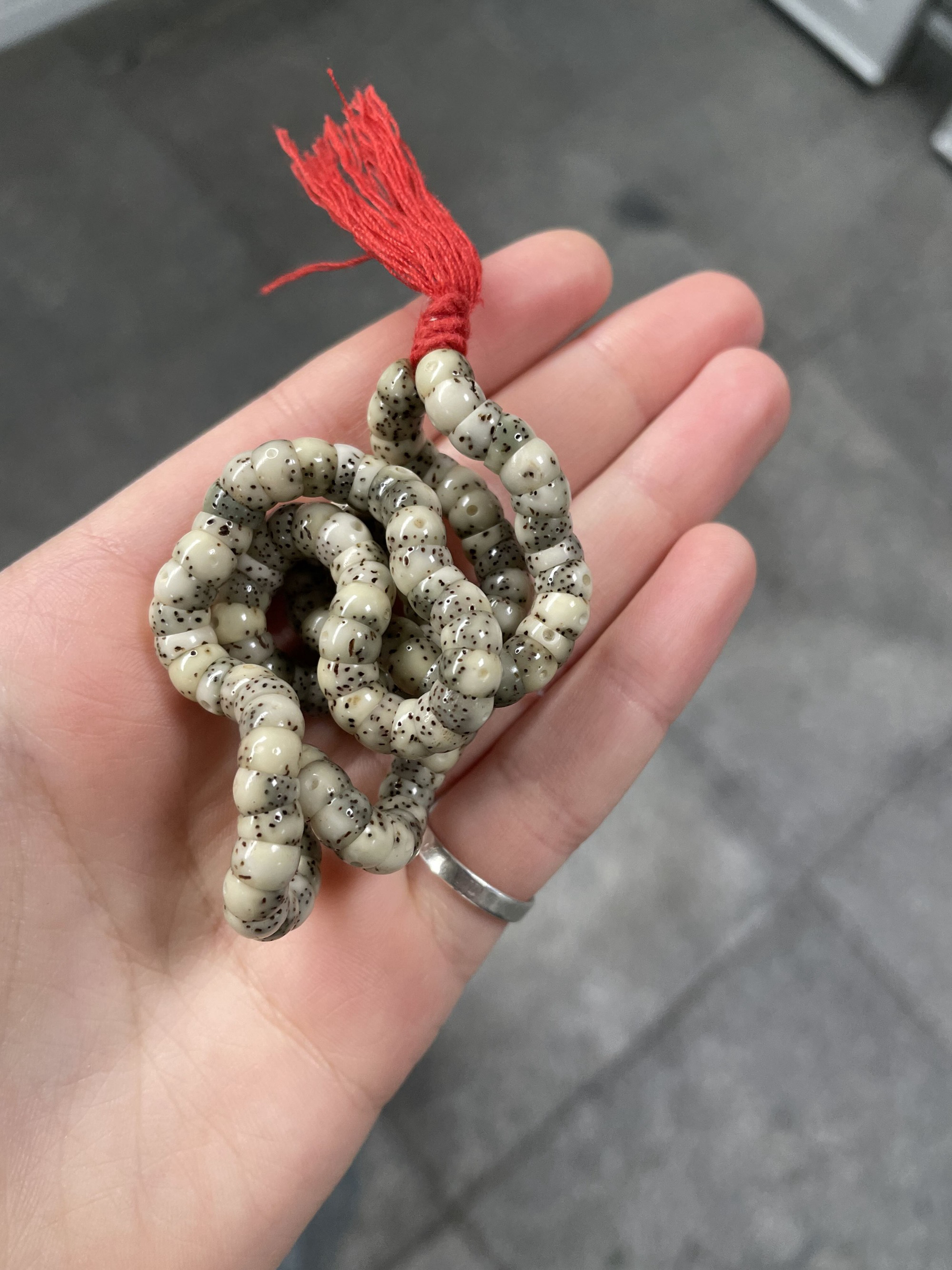 海南原生态石玉料厚切卡六大肠（辣脚专用）