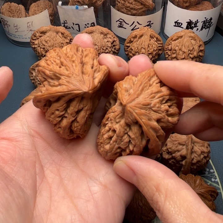 吊坠文玩核桃合体66大粗筋半壁江山