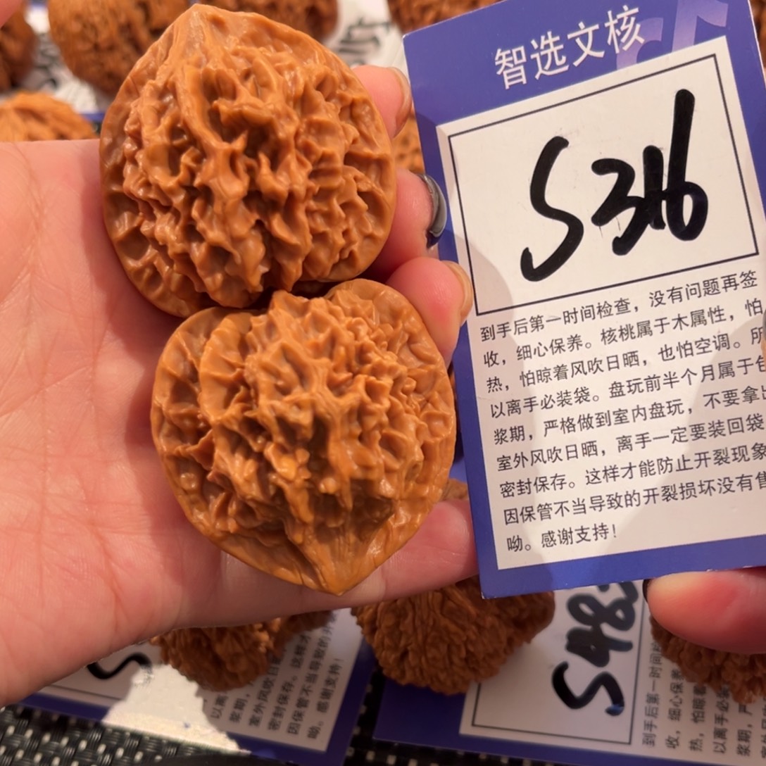 核桃S316号帝王43尺