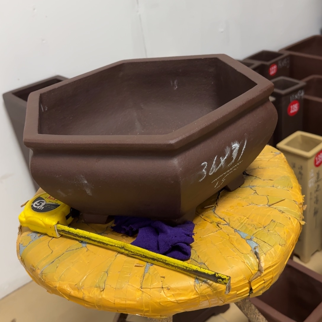 紫砂花盆呜呜呜呜