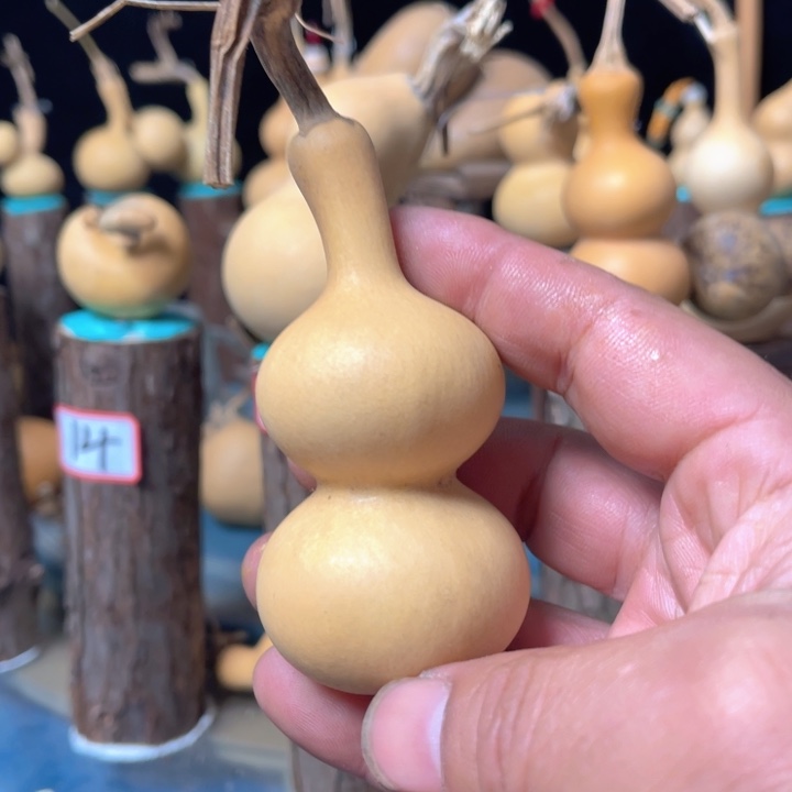 敏如反流性聋哑学校宿舍