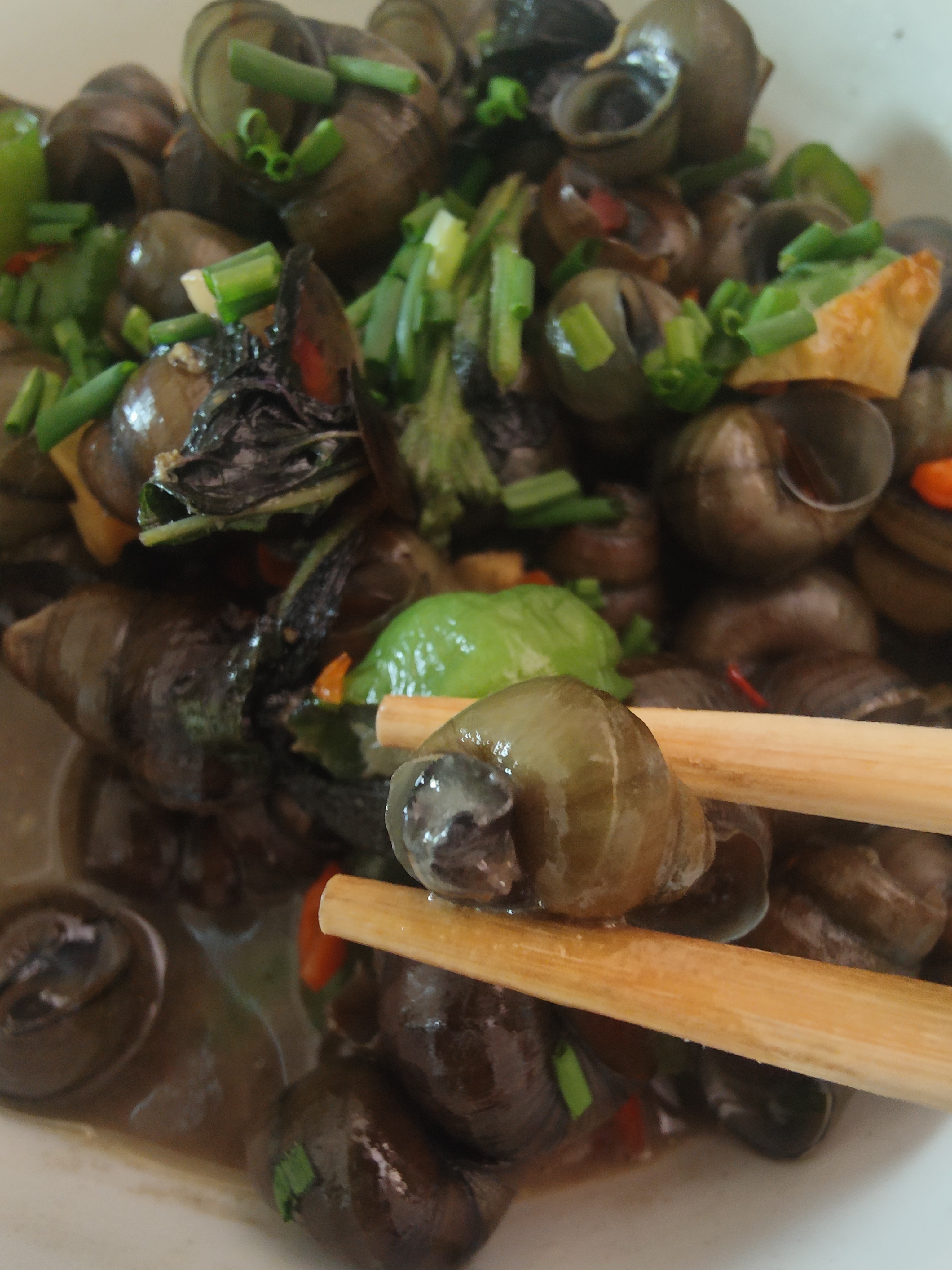 湖南桂阳本地农家现摸现发新鲜石螺预售发货不含配料