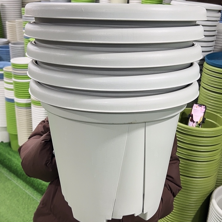 特价青山口40高34灰白无托5只