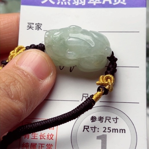 翡翠颈饰未镶嵌貔貅