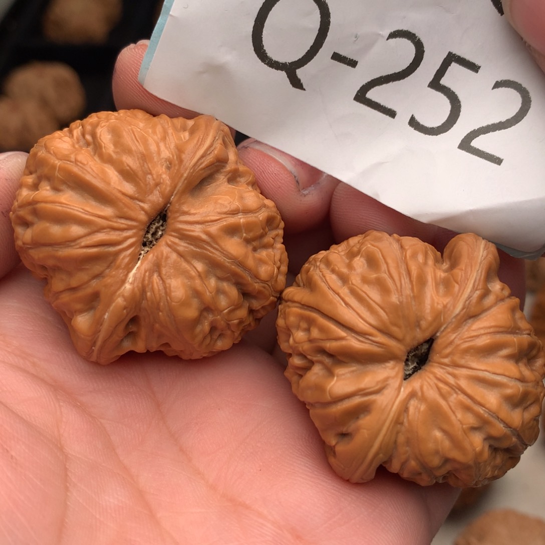 文玩核桃把件40元宝…….