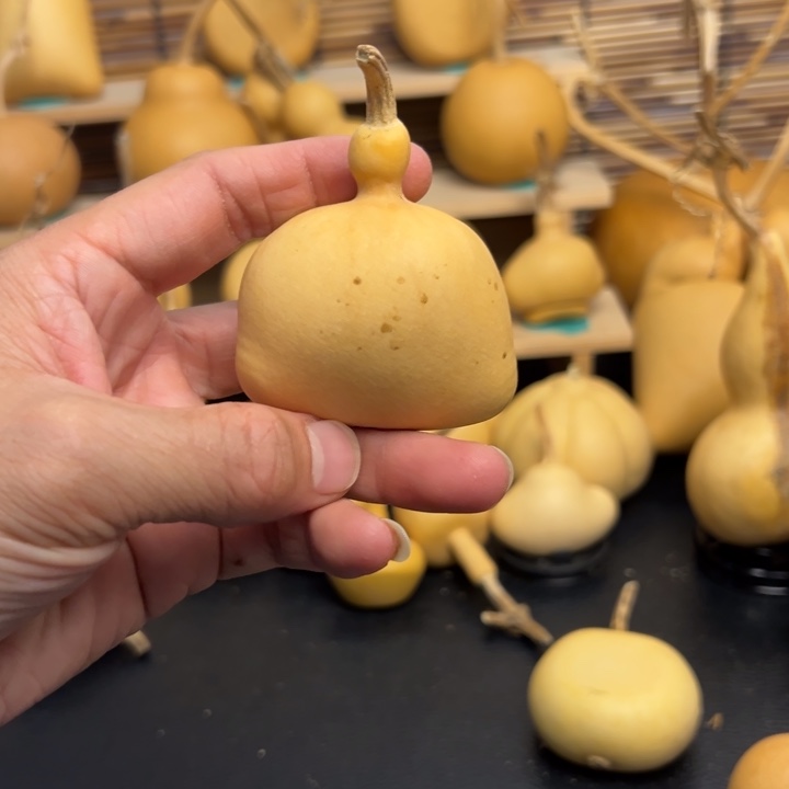 夏*葫芦葫芦葫芦葫芦葫芦葫芦