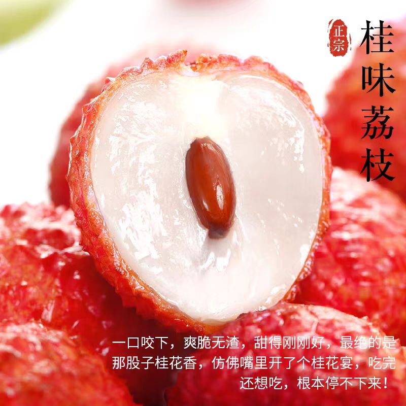 绿野【冷链发货】广东茂名高州桂味荔枝当季新鲜采摘发货