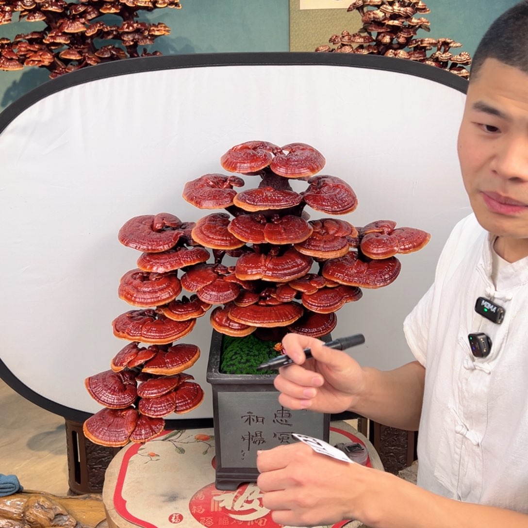 百***金无花朵58888888888