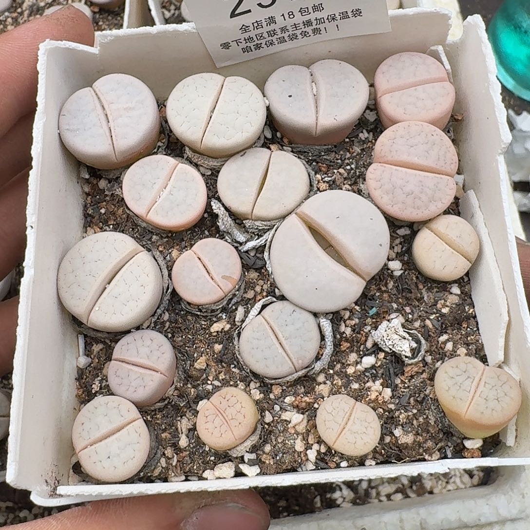 2975 满18包邮保温袋联系客服