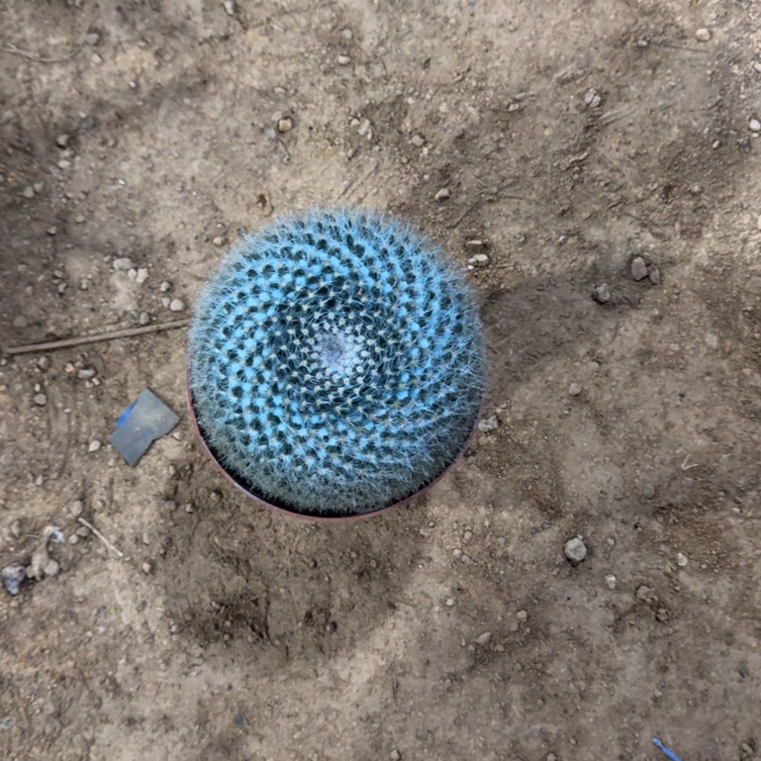 金***）啊可口可乐可口可乐