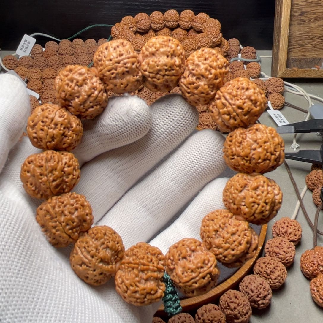 金刚菩提手串古龙高山铁籽梅花双龙24尺