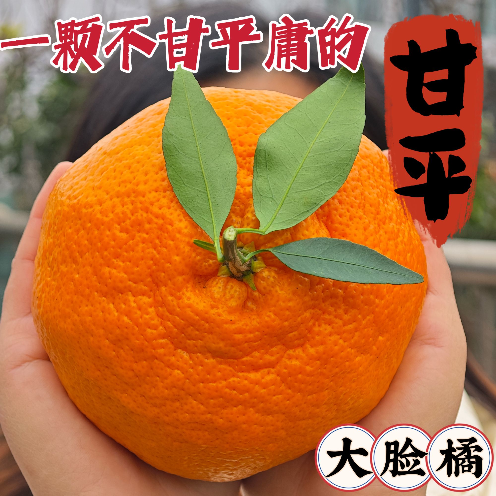 【甘平东三省内蒙保温专拍】甘平柑橘皇后【个大皮薄肉厚】新鲜多汁甜