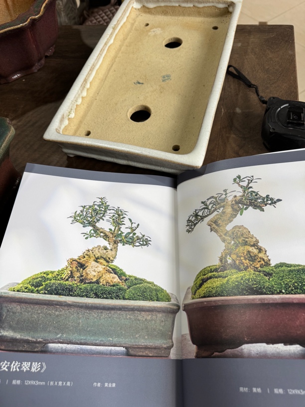 石湾凤米自然之珍盆景之秀