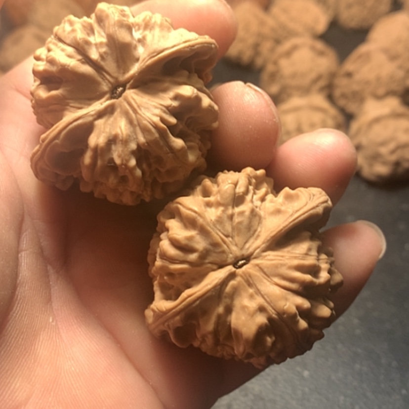 【闪购商品】风***在官帽