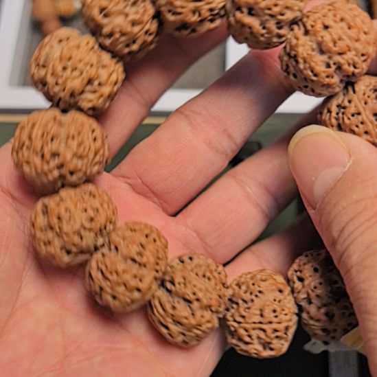 手串金刚菩提五星蜂王大金刚手串，22左右尺寸，原皮原色