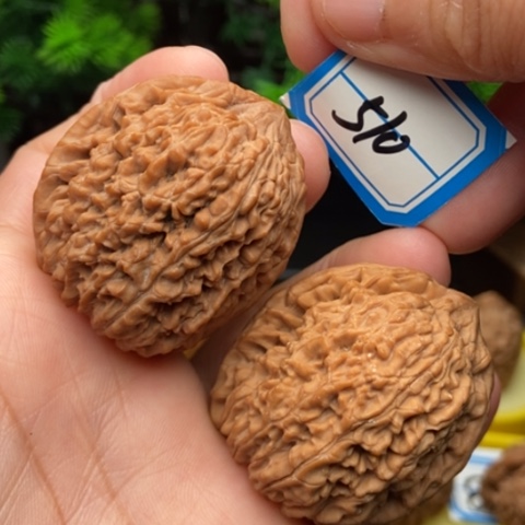 文玩核桃吊坠蒜头38